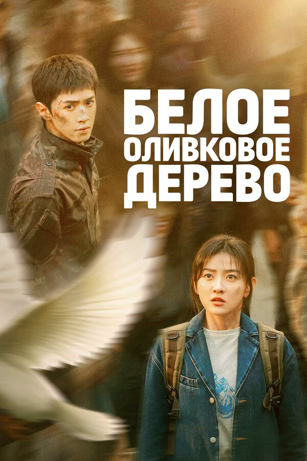 Белое оливковое дерево постер - смотреть онлайн